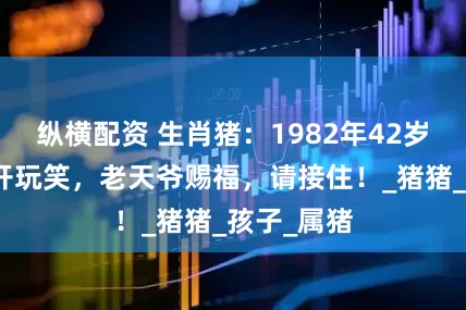 纵横配资 生肖猪：1982年42岁的你，不开玩笑，老天爷赐福，请接住！_猪猪_孩子_属猪